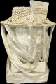 [Christy Klancher Veiled Fairchild]